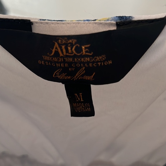 Alice butterfly dress! - Picture 5 of 5